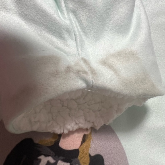 Taylor Swift Light Blue Hoodie Sweater Sherpa Lined No size Tag - Picture 9 of 11